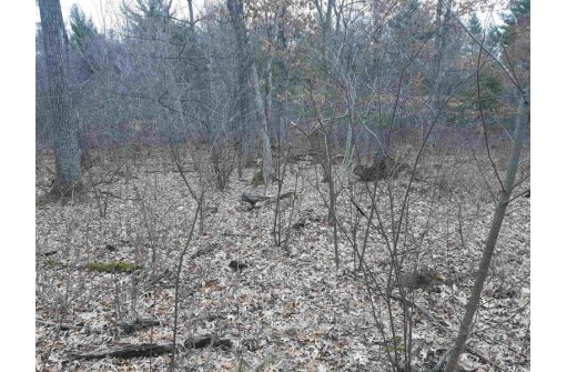 10 +/- ACRES Coon Bluff Rd, Reedsburg, WI 53959