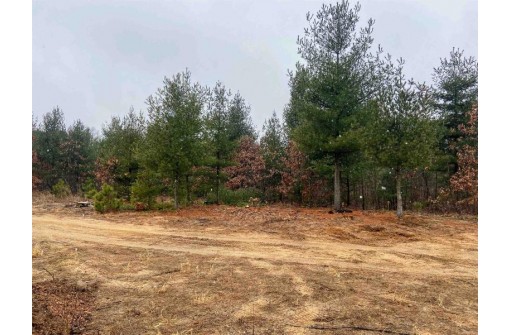 7.52 AC Beechnut Dr, Wautoma, WI 54982