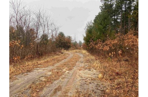 7.52 AC Beechnut Dr, Wautoma, WI 54982