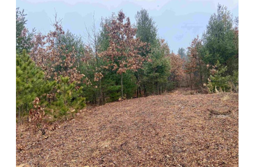 7.52 AC Beechnut Dr, Wautoma, WI 54982