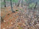 7.52 AC Beechnut Dr, Wautoma, WI 54982