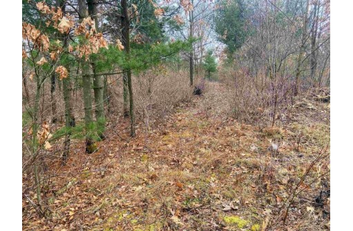 7.52 AC Beechnut Dr, Wautoma, WI 54982