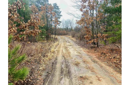 7.52 AC Beechnut Dr, Wautoma, WI 54982