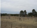 19.85 AC 5th Ln, Oxford, WI 53952