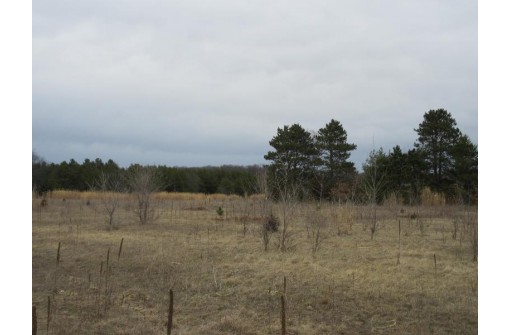 19.85 AC 5th Ln, Oxford, WI 53952