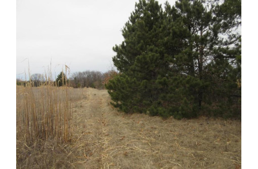 19.85 AC 5th Ln, Oxford, WI 53952