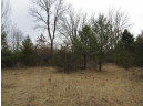 19.85 AC 5th Ln, Oxford, WI 53952