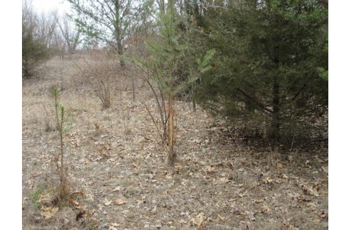 19.85 AC 5th Ln, Oxford, WI 53952