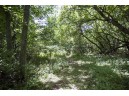 5+ ACRES Oak Dr, Briggsville, WI 53920