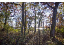 5+ ACRES Oak Dr, Briggsville, WI 53920