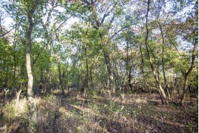 5+ ACRES Oak Dr