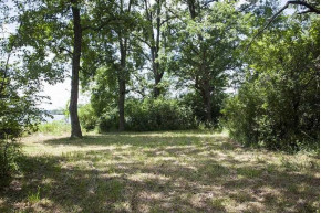 5+ ACRES Oak Dr