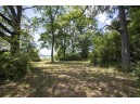 5+ ACRES Oak Dr, Briggsville, WI 53920