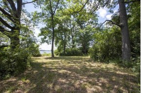 5+ ACRES Oak Dr