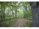 5+ ACRES Oak Dr, Briggsville, WI 53920