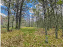 LOT 74 19th Ave, Necedah, WI 54646