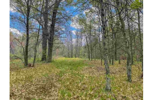 LOT 74 19th Ave, Necedah, WI 54646