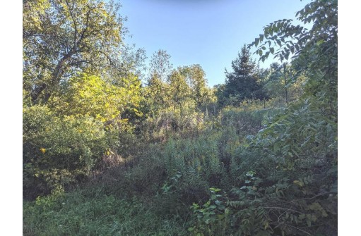 LOT 2 Gammeter Rd, Verona, WI 53593