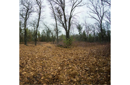 59+/- AC Ilbeam Rd, Sparta, WI 54656