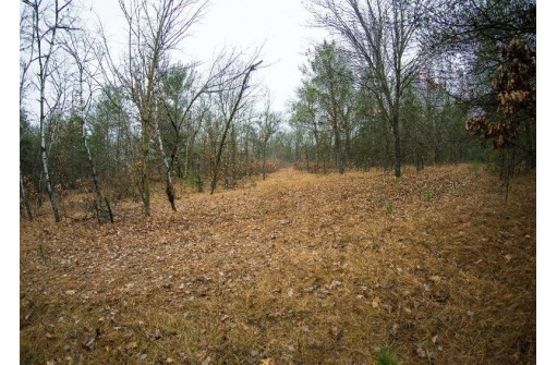 59+/- AC Ilbeam Rd, Sparta, WI 54656