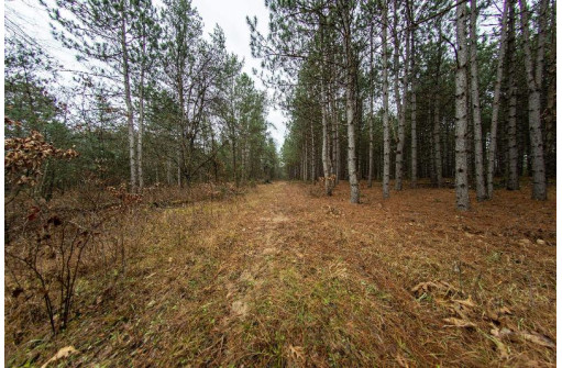 59+/- AC Ilbeam Rd, Sparta, WI 54656