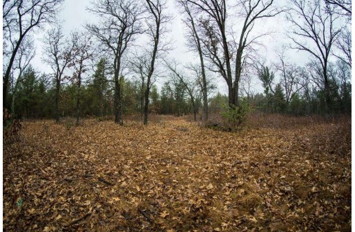 59+/- AC Ilbeam Rd, Sparta, WI 54656