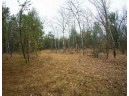 59+/- AC Ilbeam Rd, Sparta, WI 54656