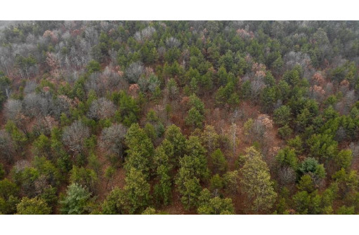 59+/- AC Ilbeam Rd, Sparta, WI 54656