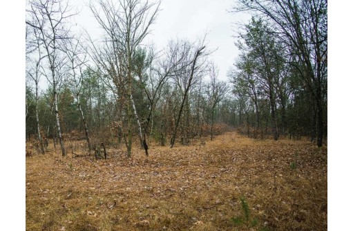 59+/- AC Ilbeam Rd, Sparta, WI 54656