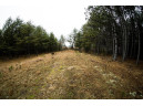 59+/- AC Ilbeam Rd, Sparta, WI 54656