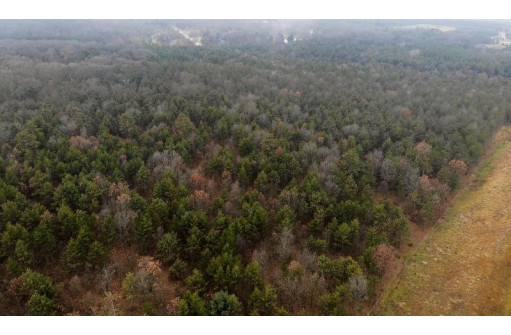 59+/- AC Ilbeam Rd, Sparta, WI 54656