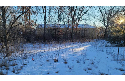 .25 ACRES County Road M, New Lisbon, WI 53950