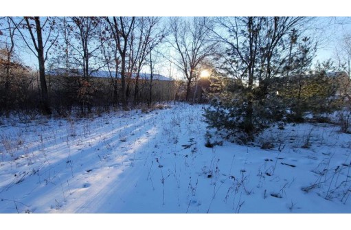 .25 ACRES County Road M, New Lisbon, WI 53950