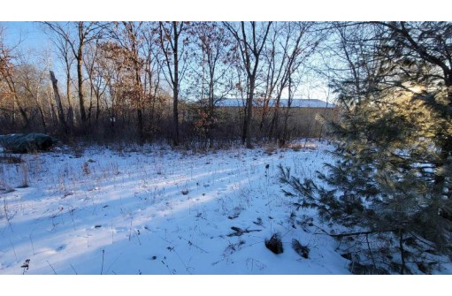 .25 ACRES County Road M, New Lisbon, WI 53950