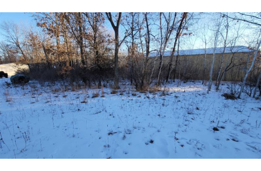 .25 ACRES County Road M, New Lisbon, WI 53950