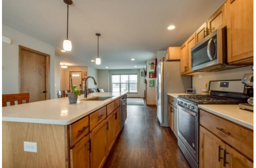 7138 Field Flower Way, Madison, WI 53718