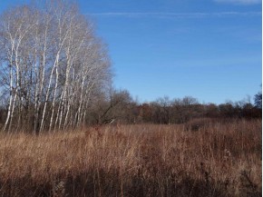 110+/- AC Pecatonica Rd