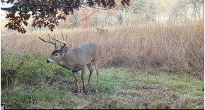 110+/- AC Pecatonica Rd