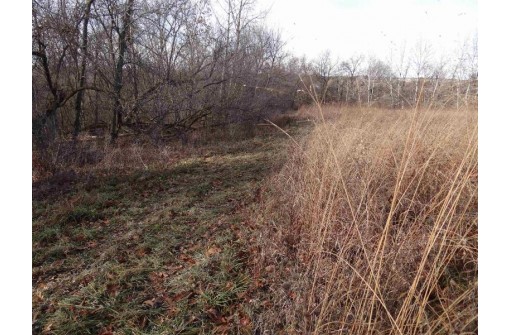 110+/- AC Pecatonica Rd, Darlington, WI 53530