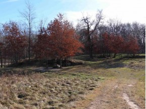 110+/- AC Pecatonica Rd