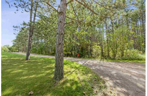 1886 Amherst Dr, Lyndon Station, WI 53944