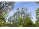 1886 Amherst Dr, Lyndon Station, WI 53944