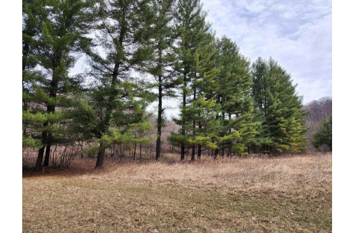 17.81 AC Hillsandwood Rd, Mazomanie, WI 53560