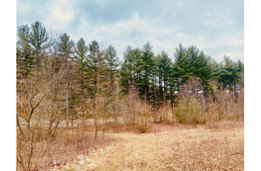 17.81 AC Hillsandwood Rd, Mazomanie, WI 53560