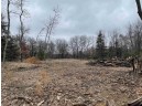 8.77 AC Lake Dr, Montello, WI 53949