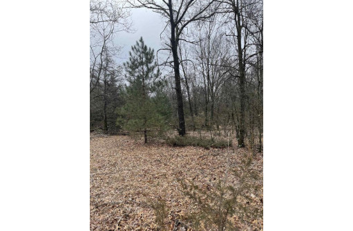 8.77 AC Lake Dr, Montello, WI 53949