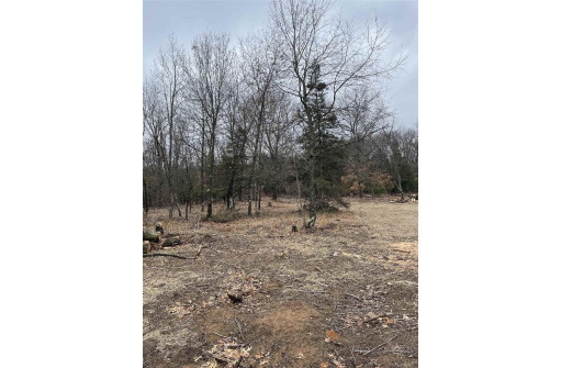 8.77 AC Lake Dr, Montello, WI 53949