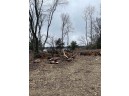 8.77 AC Lake Dr, Montello, WI 53949