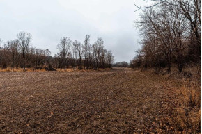 37+/- AC Mulderink Ln