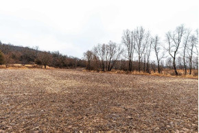 37+/- AC Mulderink Ln